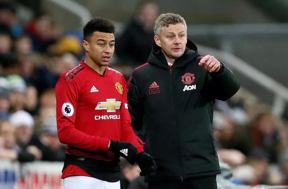 球队增添了 球队增添了